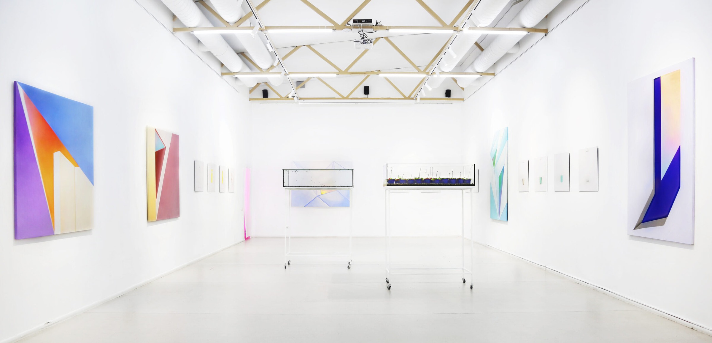 Closed System — project documentation