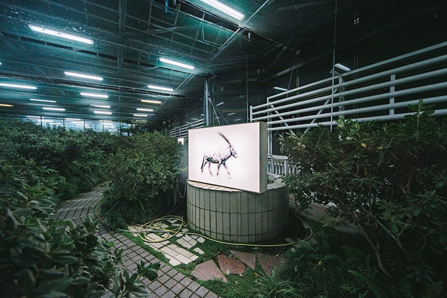 Slava Kryzhanovskyi, Extinct — digital art, lightbox, 2020