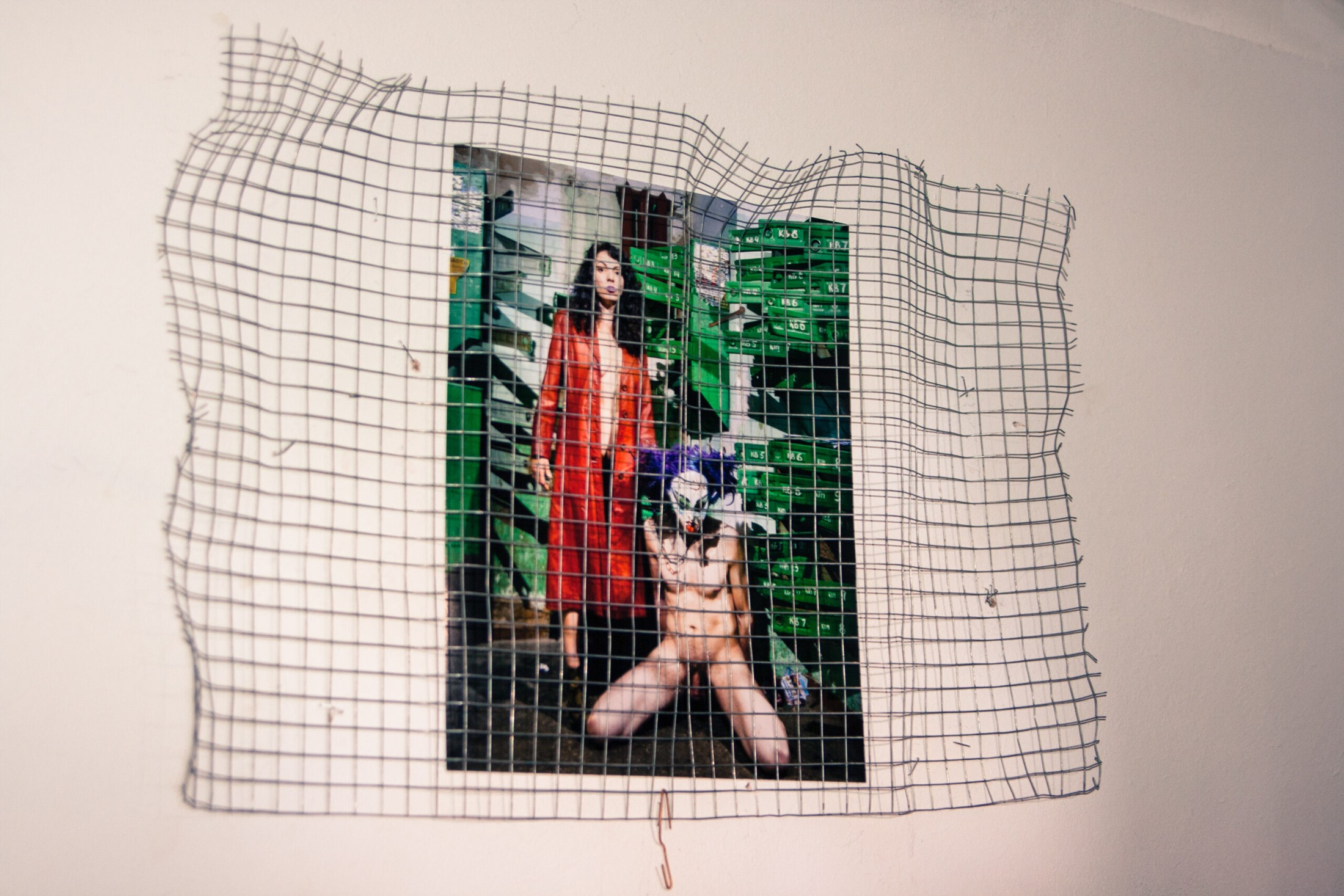 Photograph and wire mesh — exhibition detail