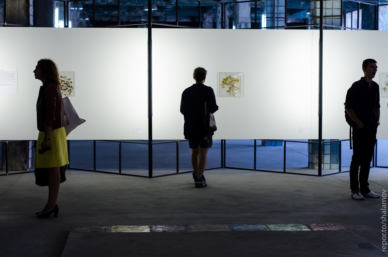 Visitors at Burn, Babylon, Art-Zavod Platforma, Kyiv, 2016. · Reporto / Shalamov · Репортер
