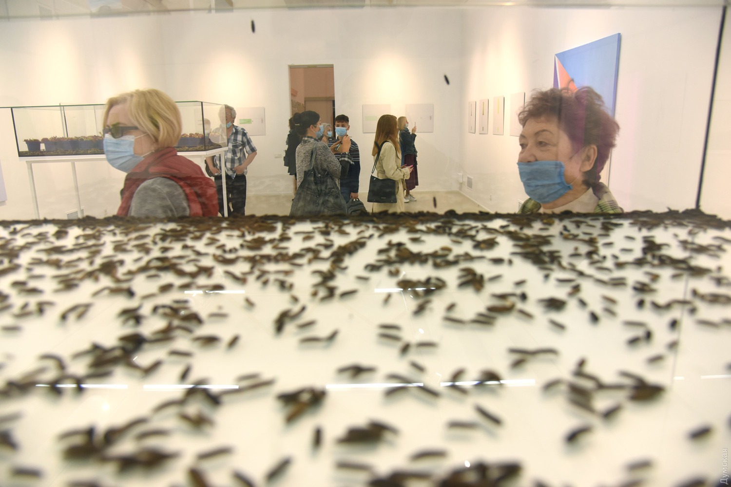 Visitors beside the insect installation