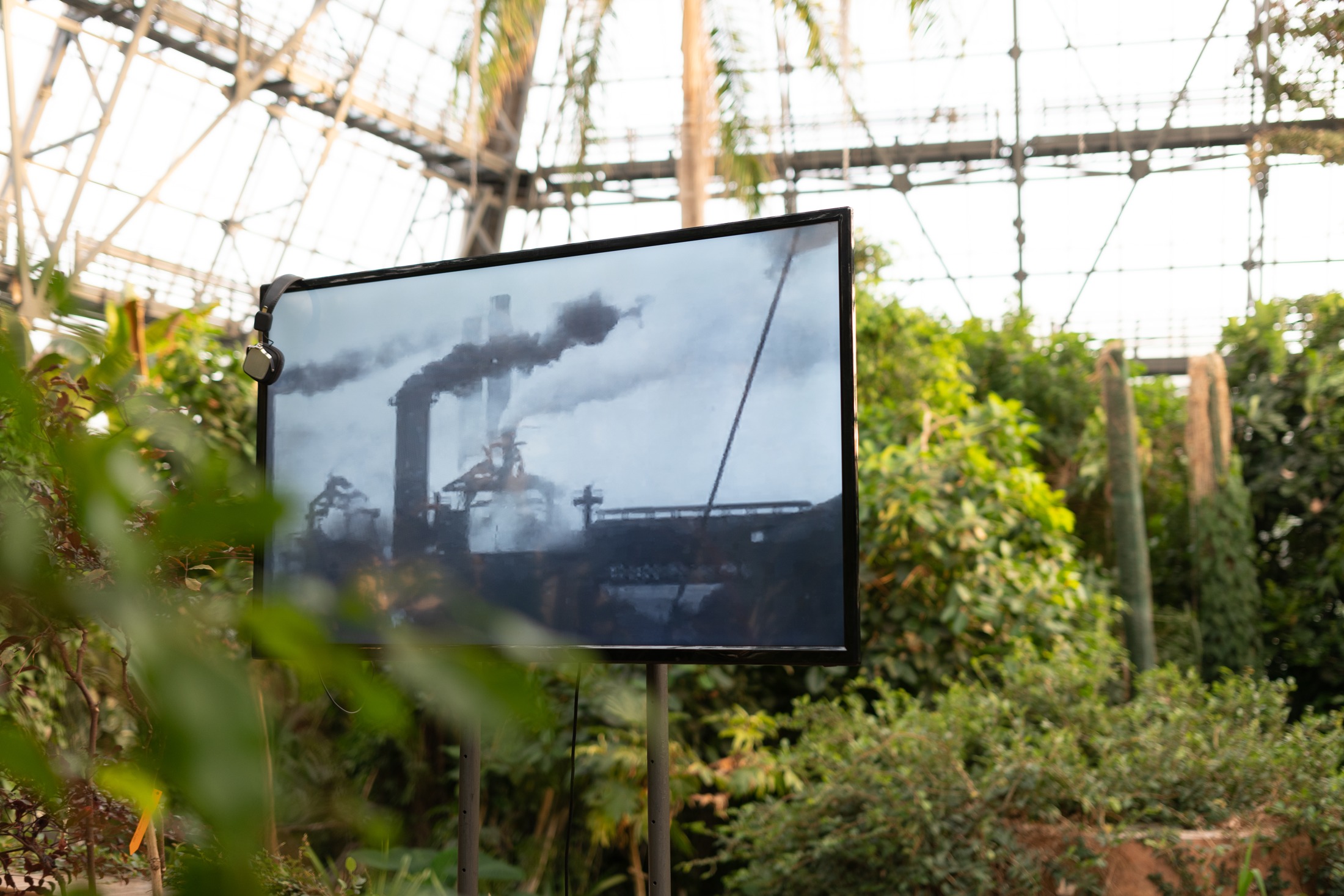 Climate Art Labs in the greenhouse