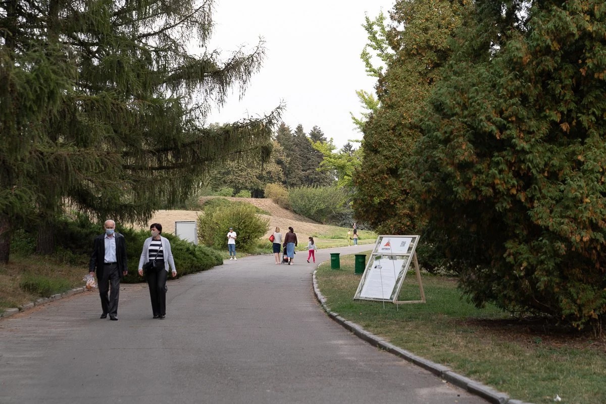 Exhibition route through the botanical garden · Kostiantyn Huzenko / The Village Ukraine