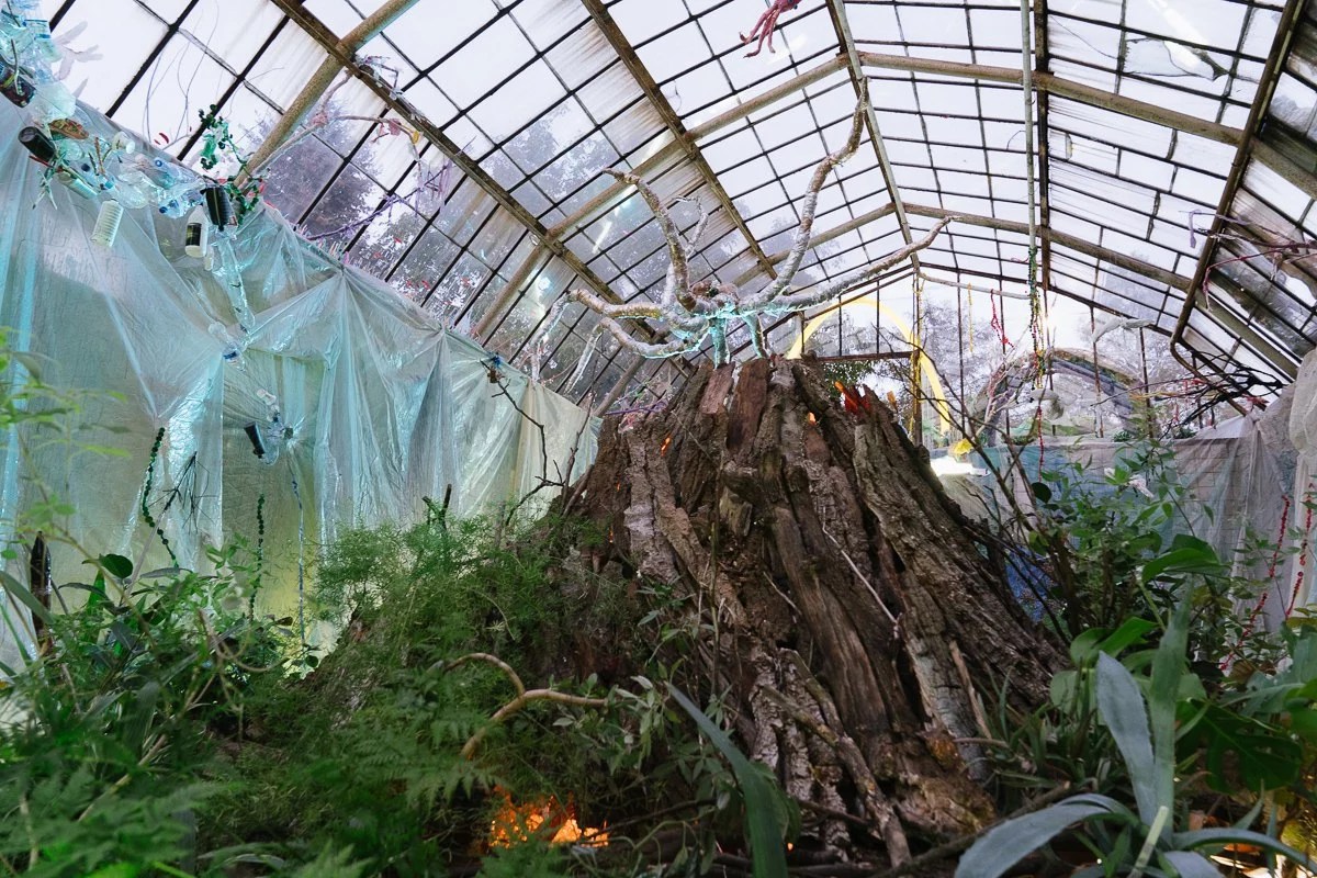Installation among greenhouse plants · Kostiantyn Huzenko / The Village Ukraine