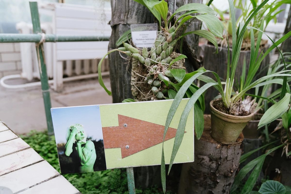Photographic work in the greenhouse · Kostiantyn Huzenko / The Village Ukraine