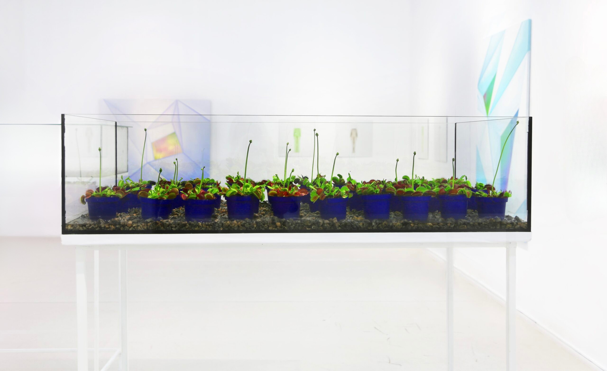 Closed System — project documentation