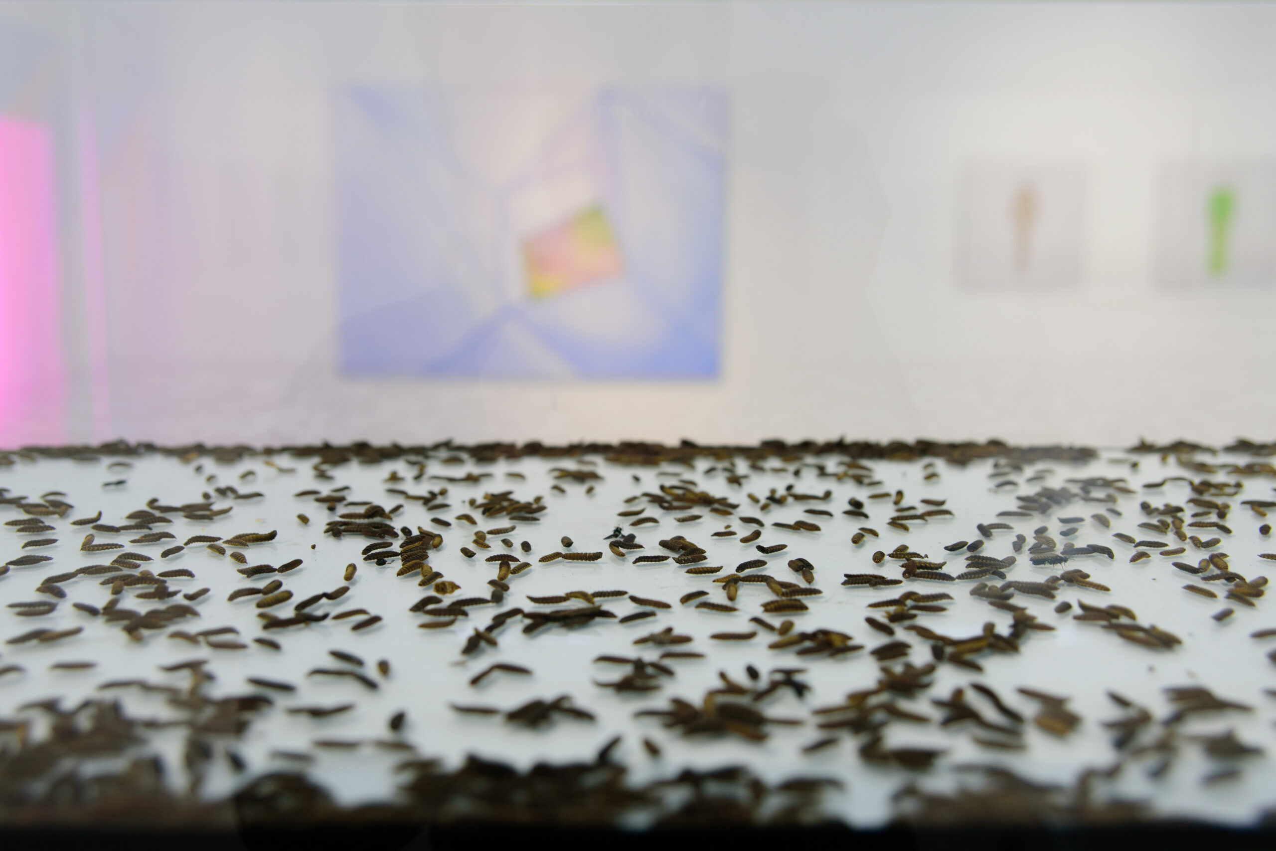 Closed System — project documentation