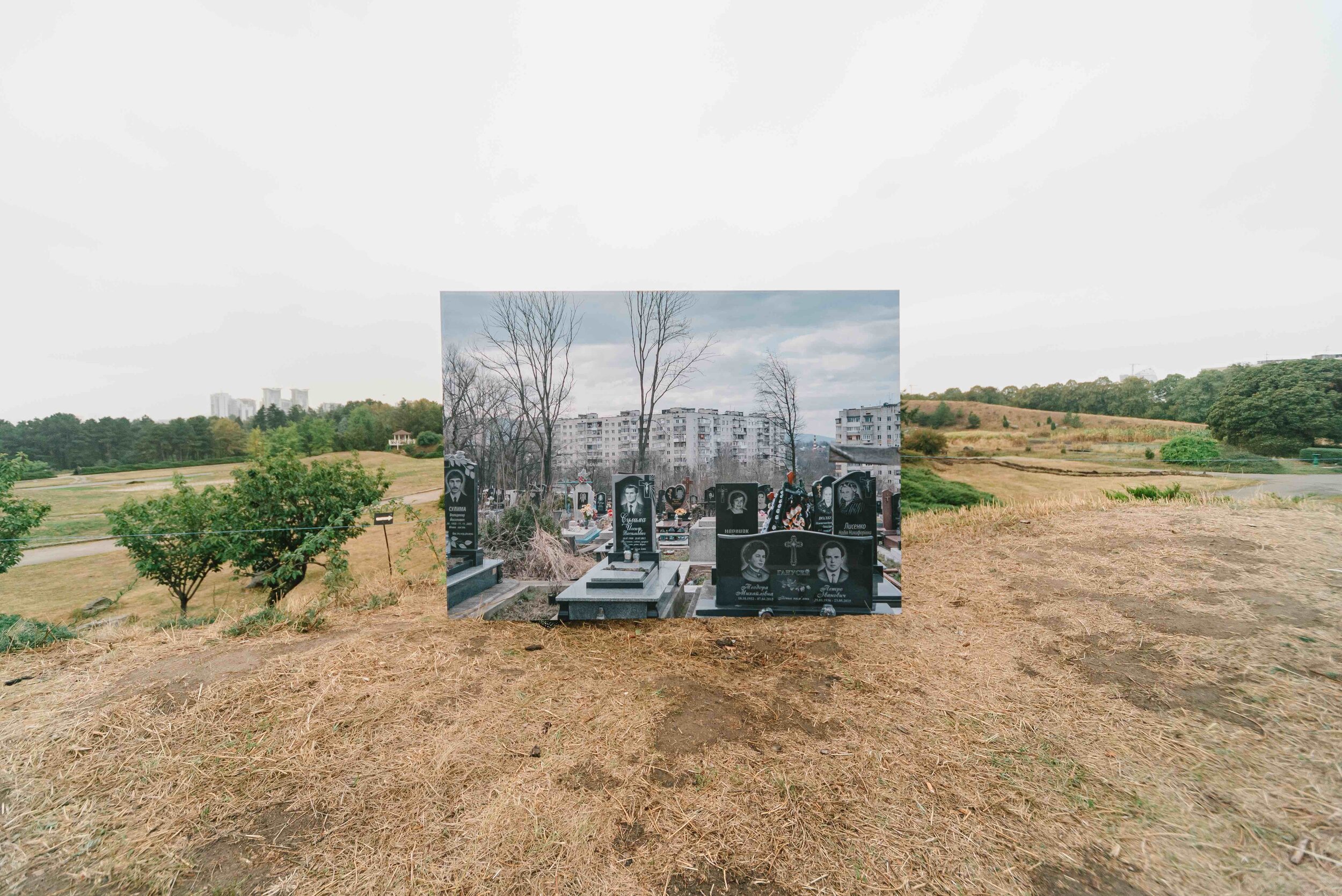 Fear of death and the struggle over Oleksiy Zinchenko’s photographs in the botanical garden — image from Your Art